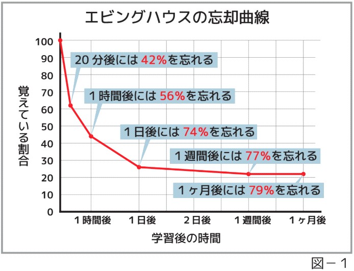 エビングハウスの忘却曲線｜進学塾、学習塾、中学、高校、大学受験、代々木進学ゼミナール